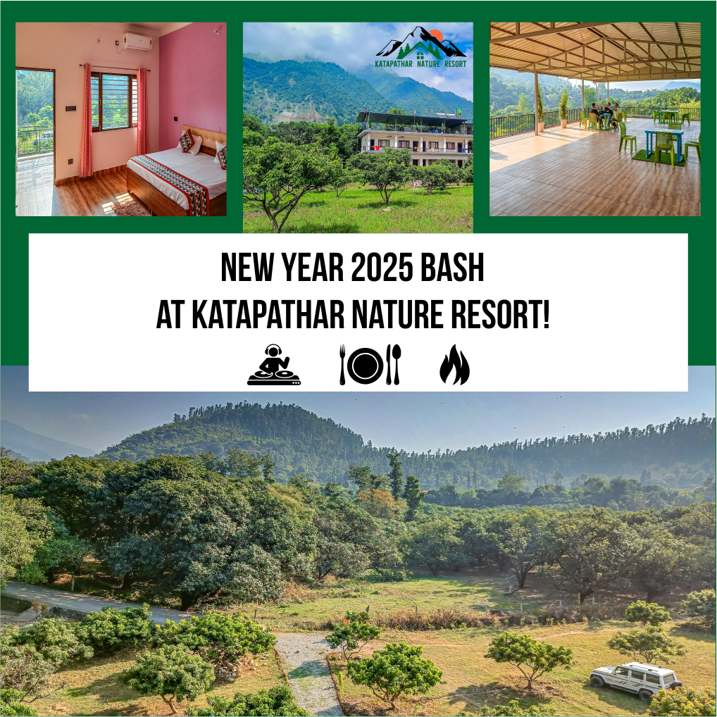 3 New year