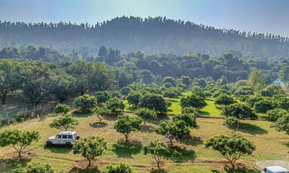 Nature Resort1